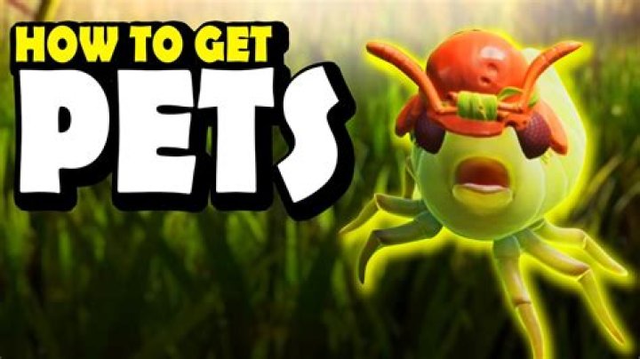 How to get pets on among us nintendo switch