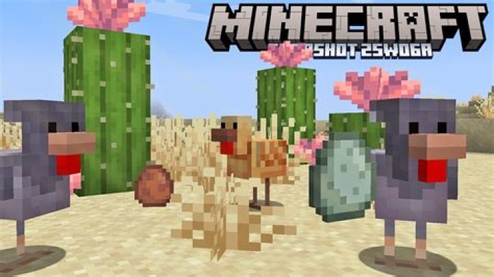 How to spawn chickens in csgo