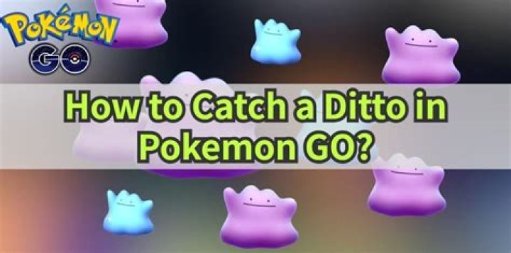 Pokemon go how to catch a ditto