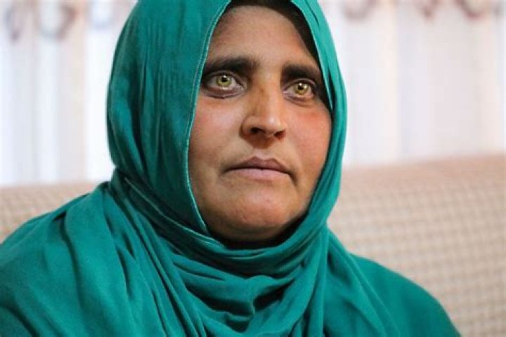 Sharbat Gula