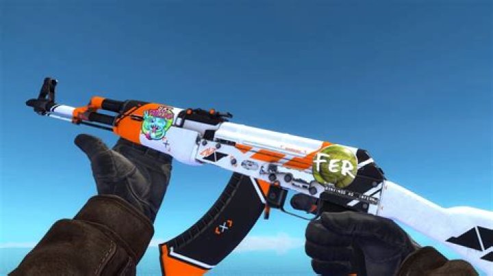 What are csgo skins