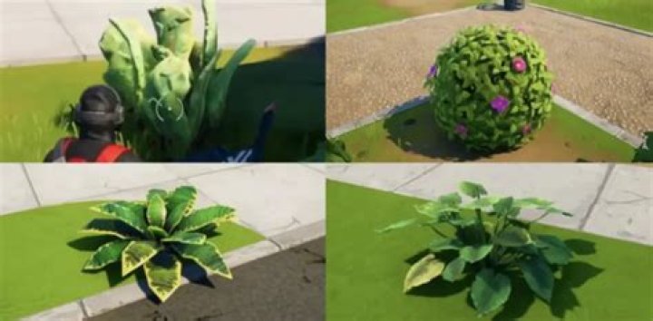 What are shrubs in fortnite