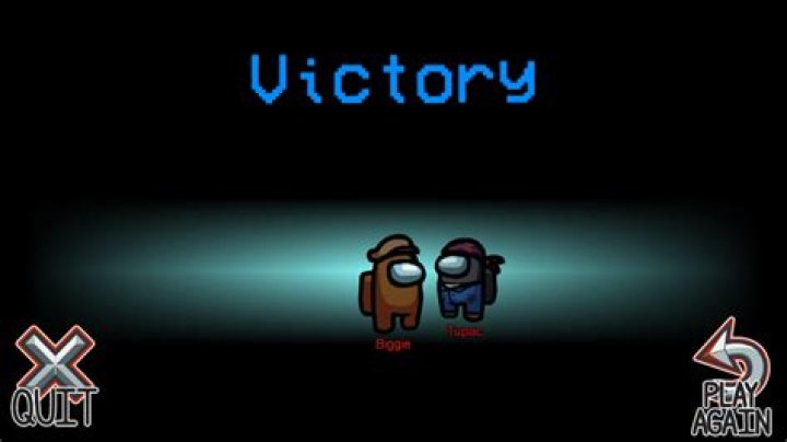 What are the people in among us called