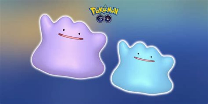 What can be ditto pokemon go
