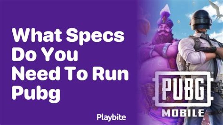 What do you need to run pubg