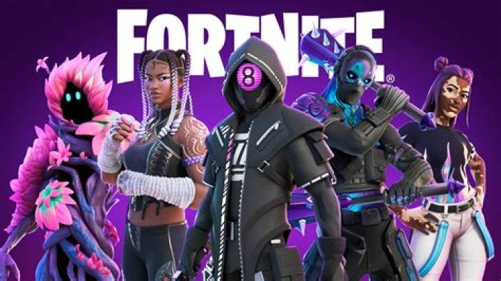 What is fortnite about