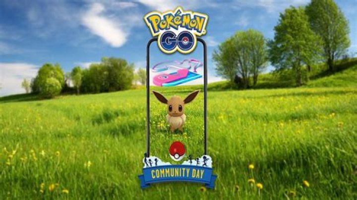 What you choose to be pokemon go