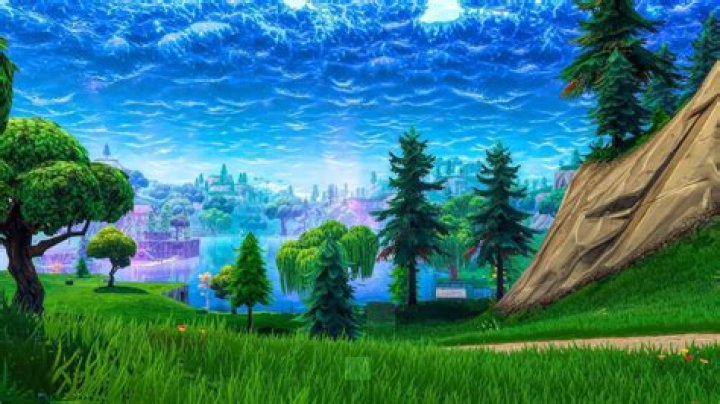Where is the tall grass in fortnite