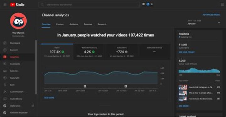 LensCapProductions video statistics